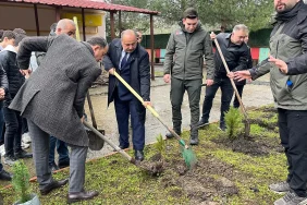 salipazari-nda-fidanlar-toprak_1774515022_k2h4GF