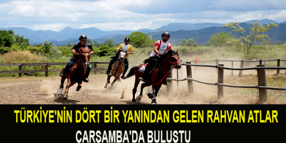 TÜRKİYE’NİN DÖRT BİR YANINDAN GELEN RAHVAN ATLAR ÇARŞAMBA’DA BULUŞTU