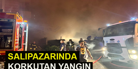 SALIPAZARINDA KORKUTAN YANGIN