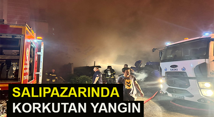 SALIPAZARINDA KORKUTAN YANGIN