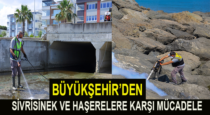 BÜYÜKŞEHİR’DEN SİVRİSİNEK VE HAŞERELERE KARŞI MÜCADELE