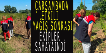 tb