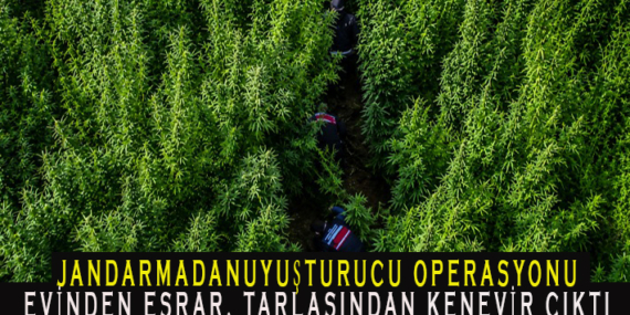 EV VE TARLASI DİDİK DİDİK ARANDI: ESRAR VE KENEVİR ELE GEÇİRİLDİ