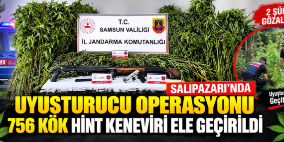 SALIPAZARI’NDA UYUŞTURUCU OPERASYONU: 756 KÖK HİNT KENEVİRİ ELE GEÇİRİLDİ