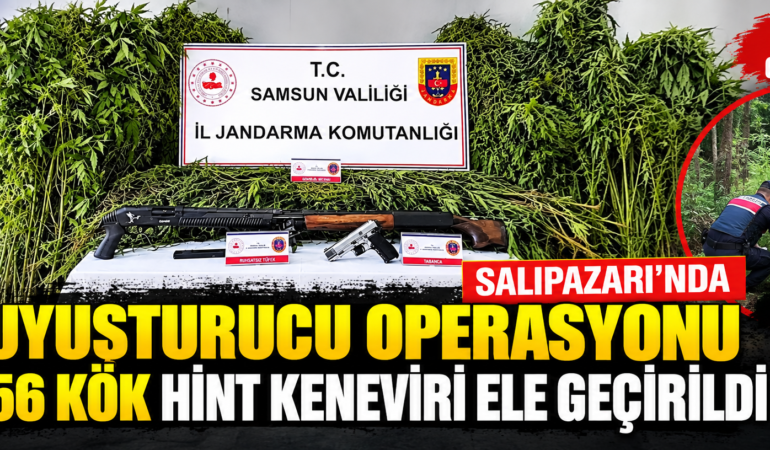 SALIPAZARI’NDA UYUŞTURUCU OPERASYONU: 756 KÖK HİNT KENEVİRİ ELE GEÇİRİLDİ