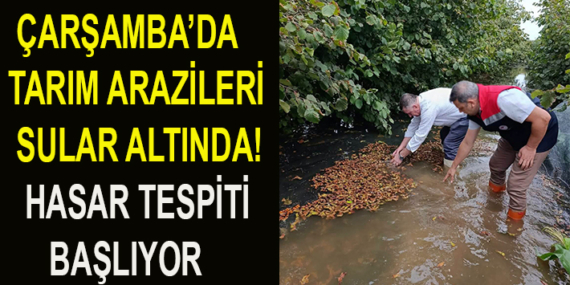ÇARŞAMBA’DA TARIM ARAZİLERİ SULAR ALTINDA! HASAR TESPİTİ BAŞLIYOR