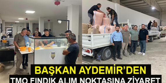 BAŞKAN AYDEMİR’DEN TMO FINDIK ALIM NOKTASINA ZİYARET
