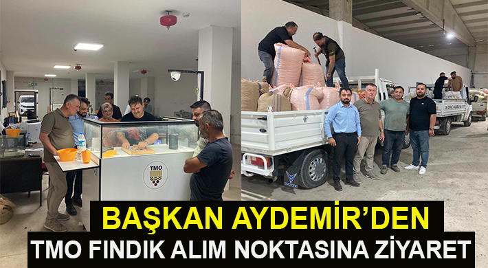 BAŞKAN AYDEMİR’DEN TMO FINDIK ALIM NOKTASINA ZİYARET