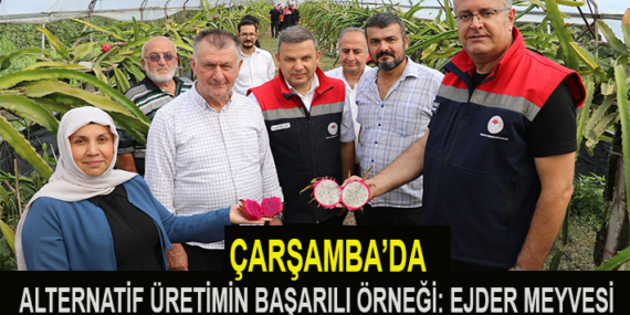 ÇARŞAMBA’DA ALTERNATİF ÜRETİMİN BAŞARILI ÖRNEĞİ: EJDER MEYVESİ