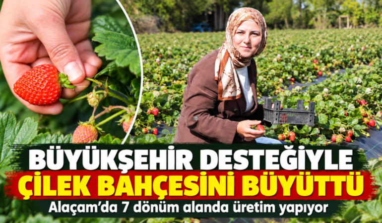 BÜYÜKŞEHİR DESTEĞİYLE ÇİLEK BAHÇESİNİ BÜYÜTTÜ