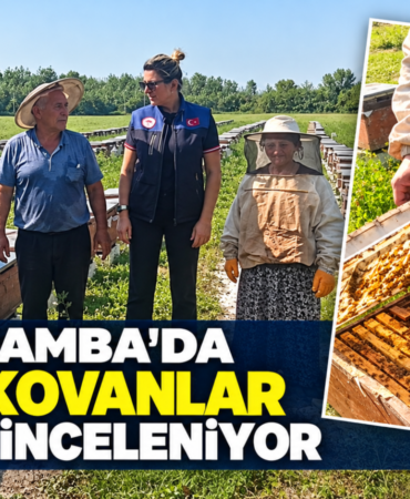Çarşamba’da Arılı Kovanlar İnceleniyor