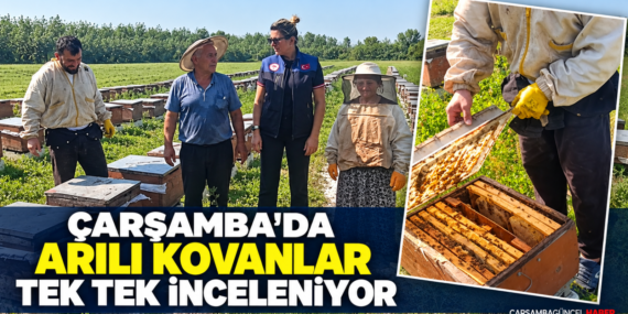 ÇARŞAMBA’DA ARILI KOVANLAR TEK TEK İNCELENİYOR