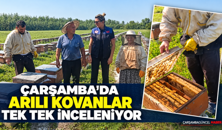 ÇARŞAMBA’DA ARILI KOVANLAR TEK TEK İNCELENİYOR