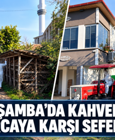 Çarşamba’da Kahverengi Kokarcaya Karşı Seferberlik