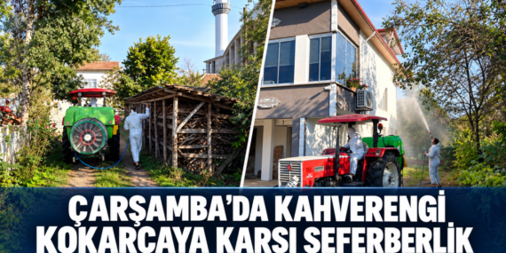 ÇARŞAMBA’DA KAHVERENGİ KOKARCAYA KARŞI ÖNLEMLER ARTIRILDI