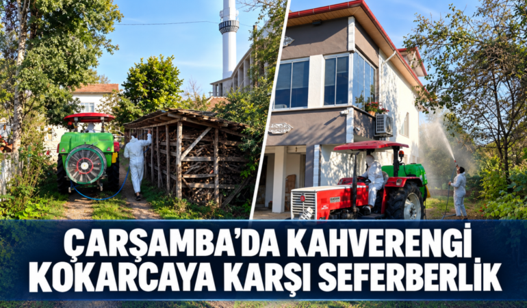 ÇARŞAMBA’DA KAHVERENGİ KOKARCAYA KARŞI ÖNLEMLER ARTIRILDI