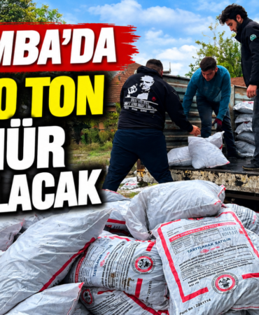 Çarşamba’da Kömür Dağıtımı Başladı